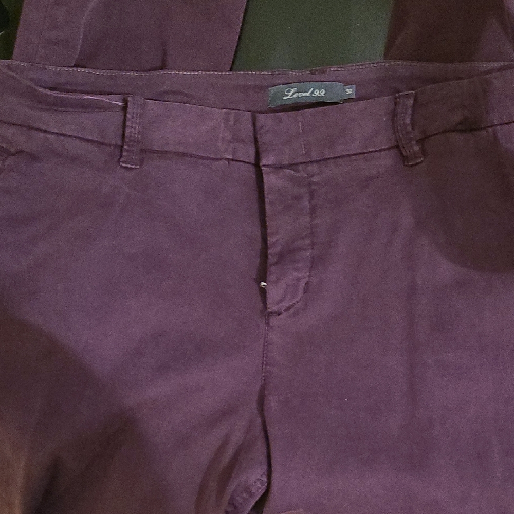 Womens Purple Pants Level 99
